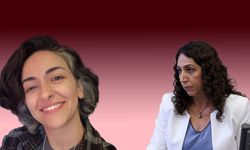 DEM Partili vekil disiplin kuruluna sevk ediliyor