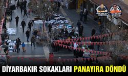 Diyarbakır sokakları panayıra döndü
