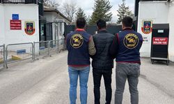 Diyarbakır'da 127 kişi yakalandı