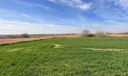 Diyarbakır’da 25 milyonluk arsa satılığa çıkarıldı