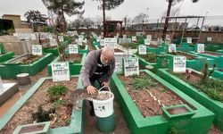 Diyarbakır’da bayramda sokak hayvanları unutulmadı