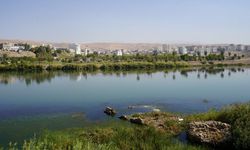 Diyarbakır’da ‘Dicle’nin İzinde’ sergisi