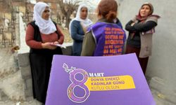 Diyarbakır’da kadınlar günü için 3 dilli broşür dağıtımı