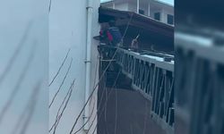Diyarbakır’da takıldığı ipte asılı kalan güvercin kurtarıldı