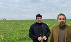 Diyarbakır’da üretim alarmı