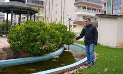 Diyarbakır’da uzmanlardan uyarı: Sivrisinekle mücadeleye hemen başlayın