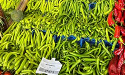 Diyarbakır’da yeşillik fiyatları cep yakıyor