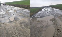 Diyarbakır’da, yetkililere bozuk yol çağrısı