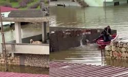 Diyarbakır’daki taşkında mahsur kalan köpek, botla kurtarıldı