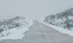 Diyarbakır'ın iki ilçesinde kar yağışı