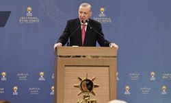 Erdoğan, Diyarbakırlı eski bakanın adaylığını duyurdu