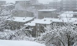 Hakkari'de kar yağışı