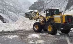 Hakkari-Çukurca kara yolu çığ nedeniyle kapandı
