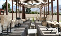 Hasankeyf'te, 147 tarihi eser görücüye çıktı