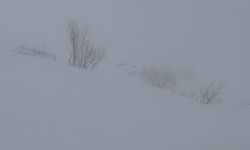 Ardahan, Kars ve Ağrı'da Newroz’da kar yağışı