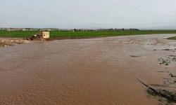 M4 karayolunu sel bastı