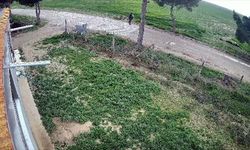 Kayıp olarak aranan kadın ölü bulundu