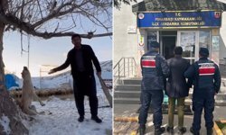 Köpeği asarak öldüren şahıs gözaltında