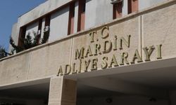 Mardin’deki kadını kaçırma olayında 2 tutuklama