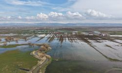 Muş Ovası’nda tarım arazileri sular altında