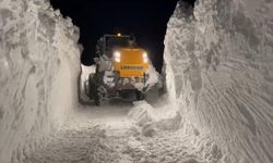 Muş'ta 40 köy yolu kapandı