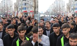 Diyarbakır’da kitleler Newroz alanına akın ediyor