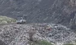 Siyahkaya Barajı çöp içinde: Silopi'nin içme suyu tehlike altında