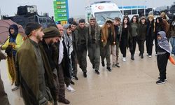 Cizre'de Newroz alanına girişler başladı