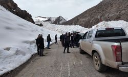 Şırnak’ta köy yoluna çığ düştü