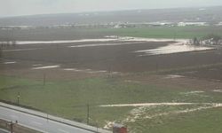 Diyarbakır'da tarım arazilerini su bastı