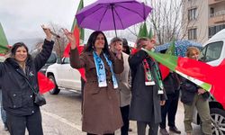 Amedspor tribünlerinde Dersim rüzgarı