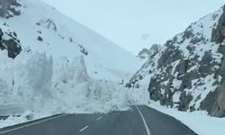 Van-Hakkâri karayoluna çığ düştü