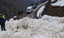 Van’da çığ düştü: 9 yerleşime ulaşım sağlanamıyor