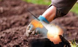 Savaşın füzesi, Diyarbakır’da tarlaya düştü!