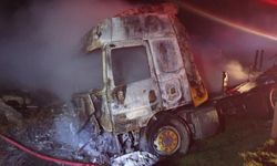 Şırnak’ta mandalina yüklü tır yandı