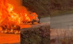 Alev alan otomobil kısa sürede küle döndü