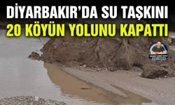 Diyarbakır’da su taşkını 20 köyün yolunu kapattı