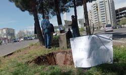 Diyarbakır’da ağaç kesme tartışması büyüyor; Sezgin Tanrıkulu da tepki gösterdi