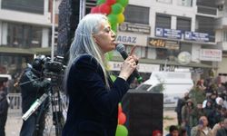 DBP Eş Genel Başkanı Uçar: Kürt halkı mücadelesini özgürlüğe dönüştürdü