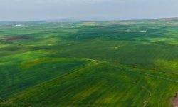 Batman'da yağış, çiftçileri umutlandırdı