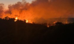 Beykoz'da 3 hektarlık alan küle döndü