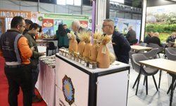 Büyükşehir’den ekolojik tohum desteği