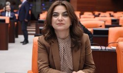 Gülistan Koçyiğit'ten AK Parti'ye Gülistan Doku tepkisi