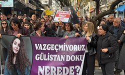 Dersim Kadın Platformu’ndan Gülistan Doku açıklaması