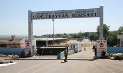 Diyarbakır Canlı Hayvan Borsası tadilata alındı