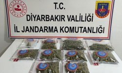 Diyarbakır'da esrar operasyonu