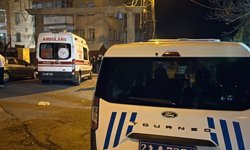 Diyarbakır’da eşini ve kızını silahla yaralayan şahıs teslim oldu