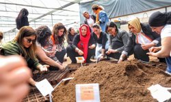 Diyarbakır yeşillenecek