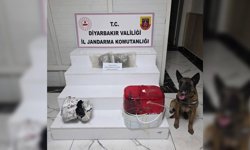 Diyarbakır’da 1 kilo yasaklı madde ele geçti