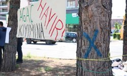 Diyarbakır’da 30 yıllık çamlar için kavşakta direniş